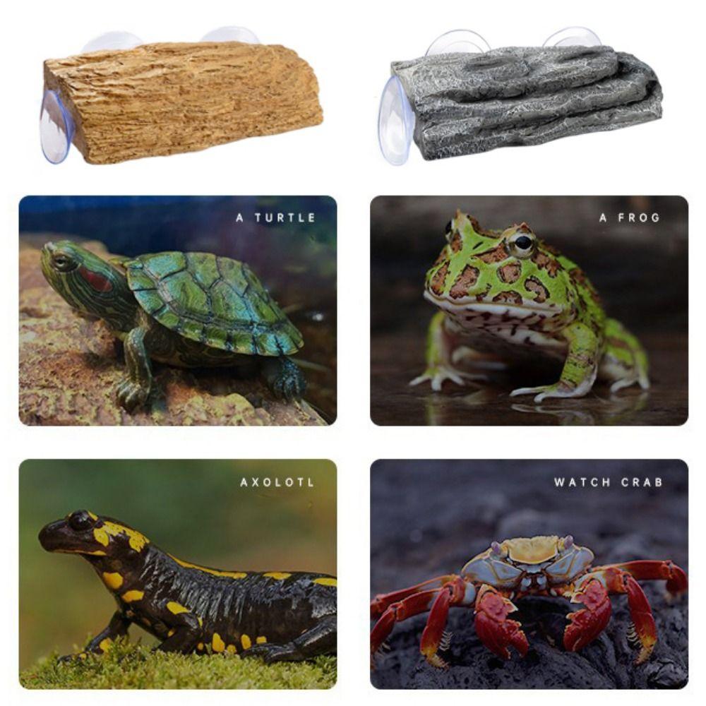 Tree Bark Turtle Drying Platform Suction Cup Turtle Sunbathing Platform  for Turtle Frog Crab