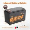 12V 100Ah LiFePO4 Lithium Battery, 15000+ Deep Cycles, 100A BMS Group 31 1280Wh Rechargeable Lithium Iron Phosphate, Customized