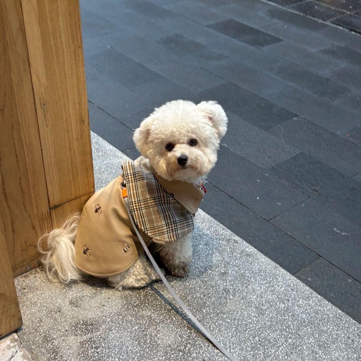 

Pet Clothing Vintage Detective Cape English Tie Plaid Cape Small Medium Dog Pet Outerwear Brown Dog Cape Puppy Clothes S коричневий