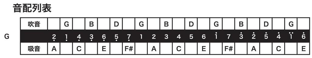 TOMBO Chromatic Harmonica In Tombo 21 3121 G, Band, Holes,