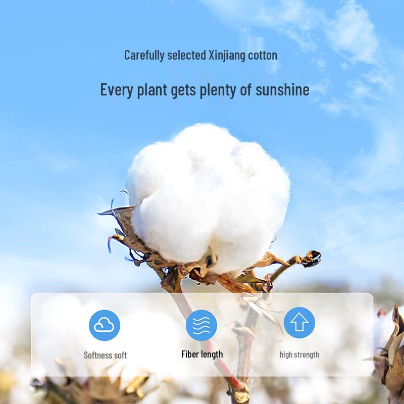 Zichu Disposable Maternity Briefs