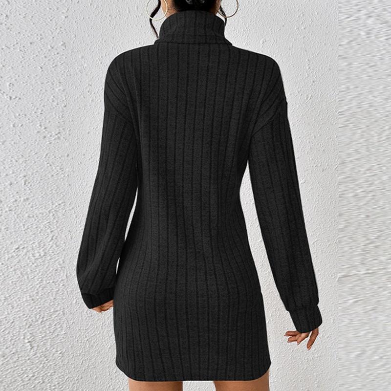 Women Autumn Winter Turtleneck Long Sleeve Dress Knee Length Top