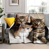 1PC Cute Cat, Cartoon Blanket, All Season Lightweight Home Office Outdoor Nap Multifunctional Blanket