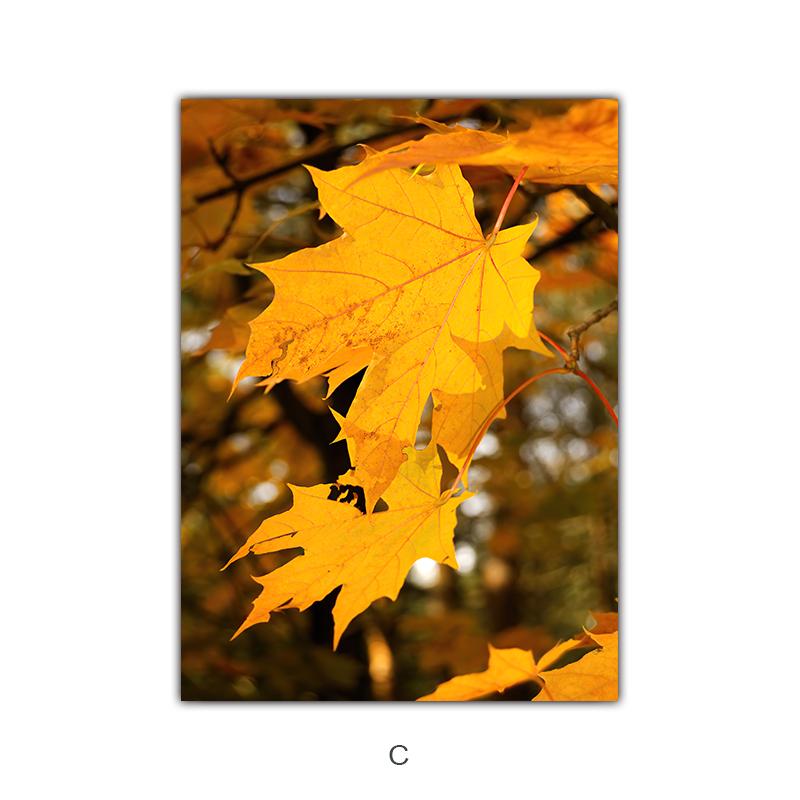

Настенная картина на холсте, желтые опавшие листья, тыква, белка, автомобиль, пейзаж, постеры и принты, фотографии для домашнего декора 70x100cm No Fram