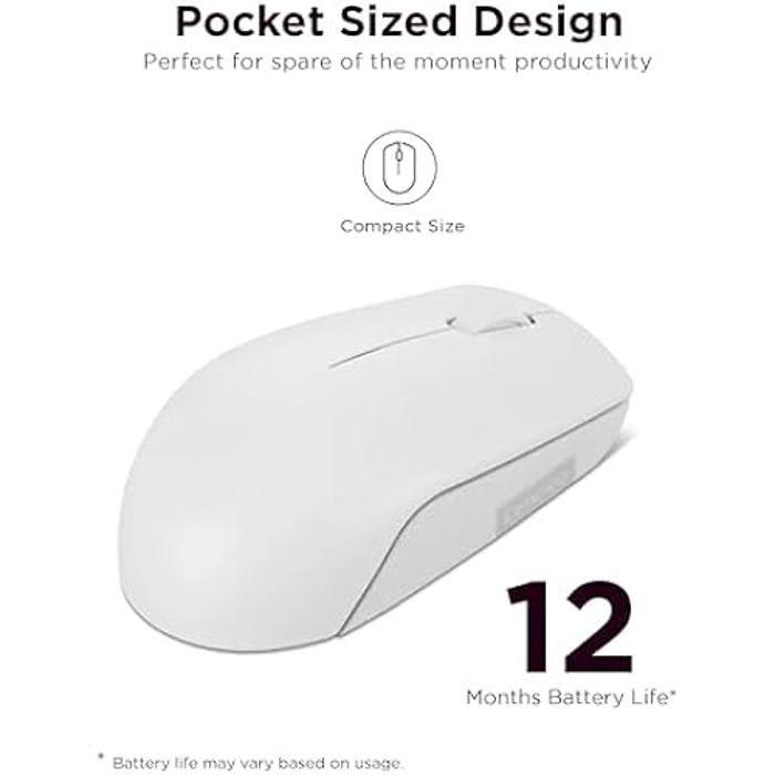 Lenovo souris compacte sans fil 300 | gris nuage