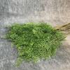 Real Touch Artificial Fern Plant Handmade Plastic Material Artificial Greenery Fern Elegant Design Realistic Artificial Fern