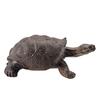 Turtle Cognitive Toys Adorable Delicate Plastic Galapagos Tortoise Decoration Model for Kids