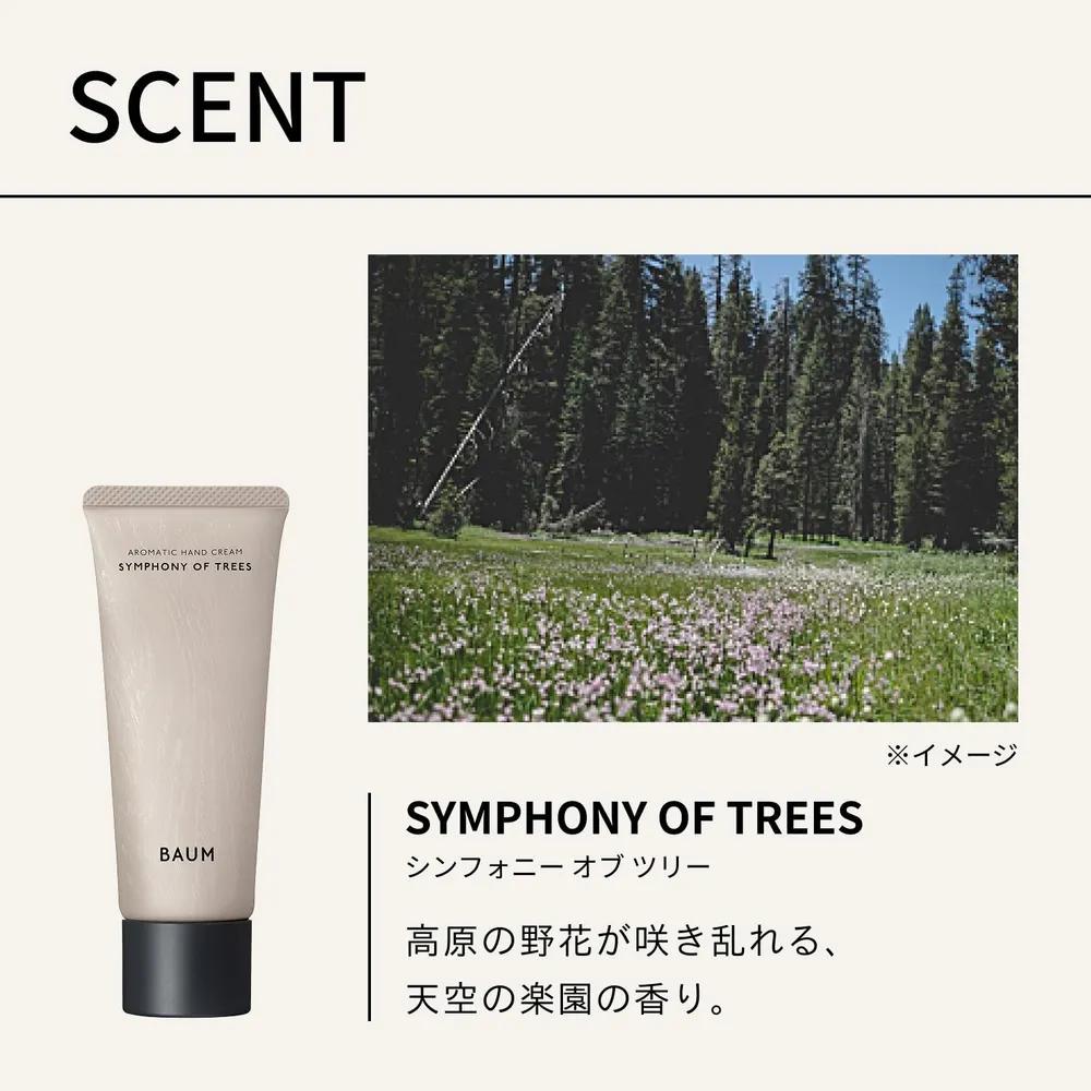 BAUM Aromatic Hand Cream 75g Symphony of Tree Scent (2 Pieces)