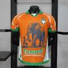 Africa 2026 Cup of Nations Cameroon, Mali, & Ivory Coast Quick-Dry Fan Jersey