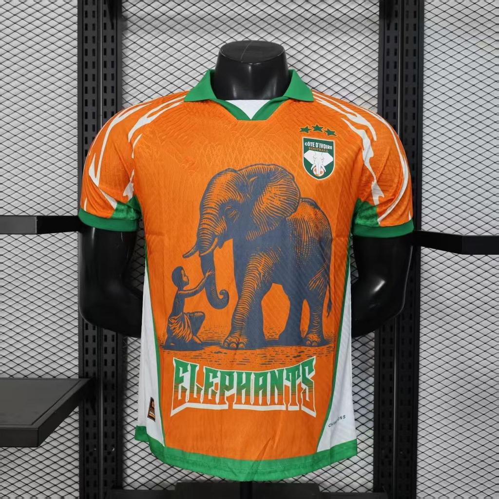 Africa 2026 Cup of Nations Cameroon, Mali, & Ivory Coast Quick-Dry Fan Jersey