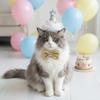 Star Sequins Cat Birthday Party Hat Comfortable Fit Cat Princess Hat  for Cats and Dogs