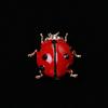 Blucome Fashion Insects Cute Red Ladybug Enamel Brooches for Women Alloy Rhinestone Banquet Party Wedding Pin