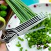 5-Layer Stainless Steel Kitchen Scissors - Versatile Onion and Vanilla Shredder for Barbecue and Indoor Use - Durable, Safe
