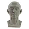 Generic Planar Head Model for Drawing Resin Skull Sculpture with Detailed Muscle Structure Art Study Tool for Sketching Anatomy Learning