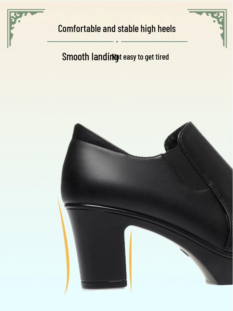 Women's Chunky Heel Platform Loafers - 2024 Spring/Autumn, Round Toe, Leather, Slip-On, Waterproof.