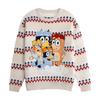 Bluey Unisex Adult Character Christmas Jumper