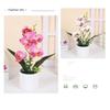 Accessories Simulation Bonsai Multicolor Faux Phalaenopsis Potted  Desktop Oranemnt