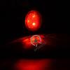 APSMOTIV 8 PCS Red LED RED Side Marker Light Indicator Light Rear for Truck Trailer RV Cab Boat Bus Lorry Side Marker Lights