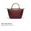 Longchamp Le Pliage Handbags L1621979P87