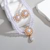 Special-Shaped Imitation Baroque Pearl Necklace Earrings Set Women'S Light Luxury Niche Simple Collarbone Chain Accessories Neck Chain