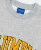 COLUMBIA UNIVERSITY 1754 Arch Boucle Fleece Crew Neck_Gray