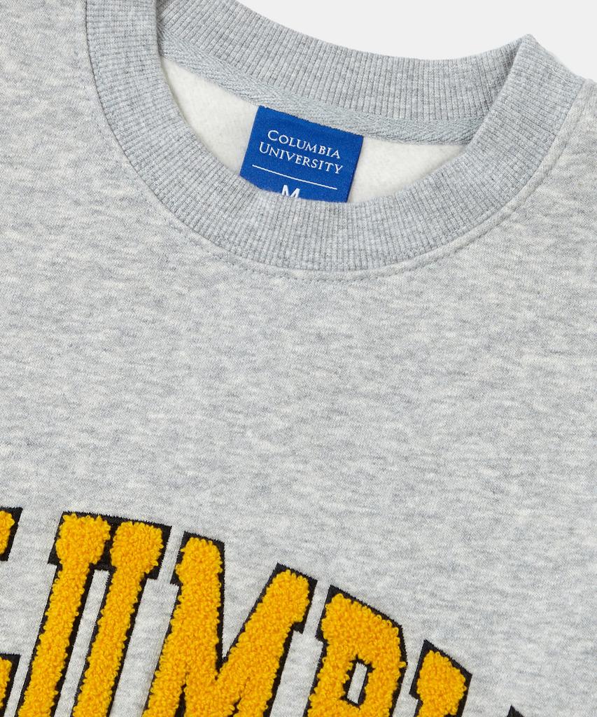 COLUMBIA UNIVERSITY 1754 Arch Boucle Fleece Crew Neck_Gray