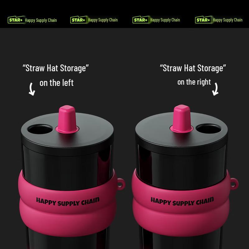 316L Stainless Steel Insulated Straw Water Bottle