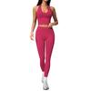 Seamless Quick-Drying High-Waist Yoga Set with Butt-Lifting Pants for Women