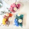 Yongsheng Flower Material Package Team Building Activity Flower Art Class Handmade Creative Activity Decorative Flowers