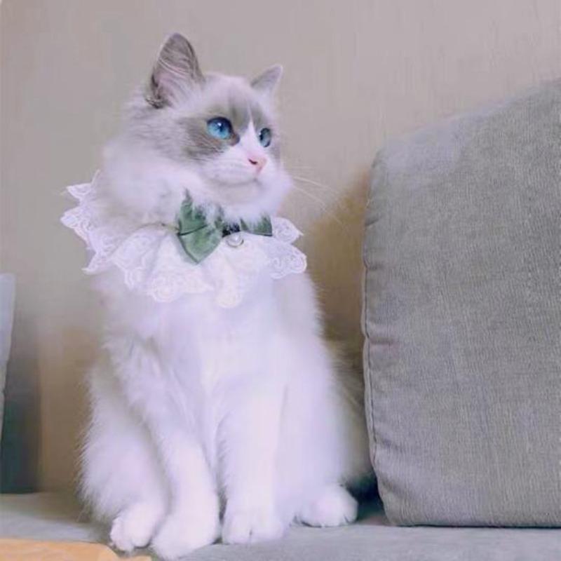 Fazzoletto da collo per animali domestici, accattivante, creativo, con fiocco, per gattini e cuccioli, con campanello per fotografia