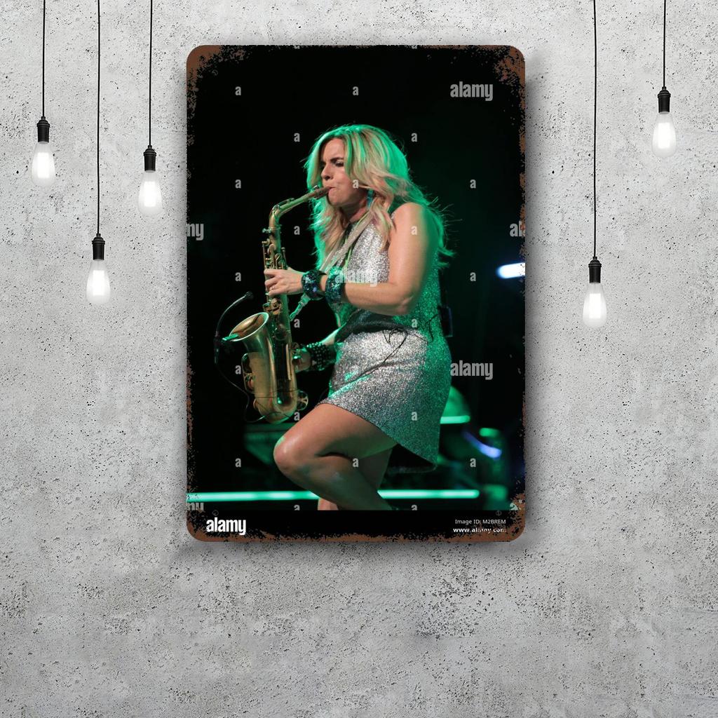 Candy Dulfer Metal Signs Wall Decor Vintage Tin Signs Captain Metal Poster Decor for Bar Pub Club Wall Decoration