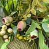 Round Artificial Flower Wreath Front Door Decor Wall Garland Thanksgiving