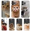 Cartoon Fun Cat Pet Dog Luxury Phone Case For iPhone 16 15 14 13 12 11 Pro Max XS X XR SE 7 8 Plus Soft Silicone Clear Cover