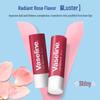 Vaseline Rosy Lips Lippenbalsam