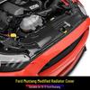 Carbon Fiber Radiator Cover & Hood Latch Guard for 15-17 Ford Mustang