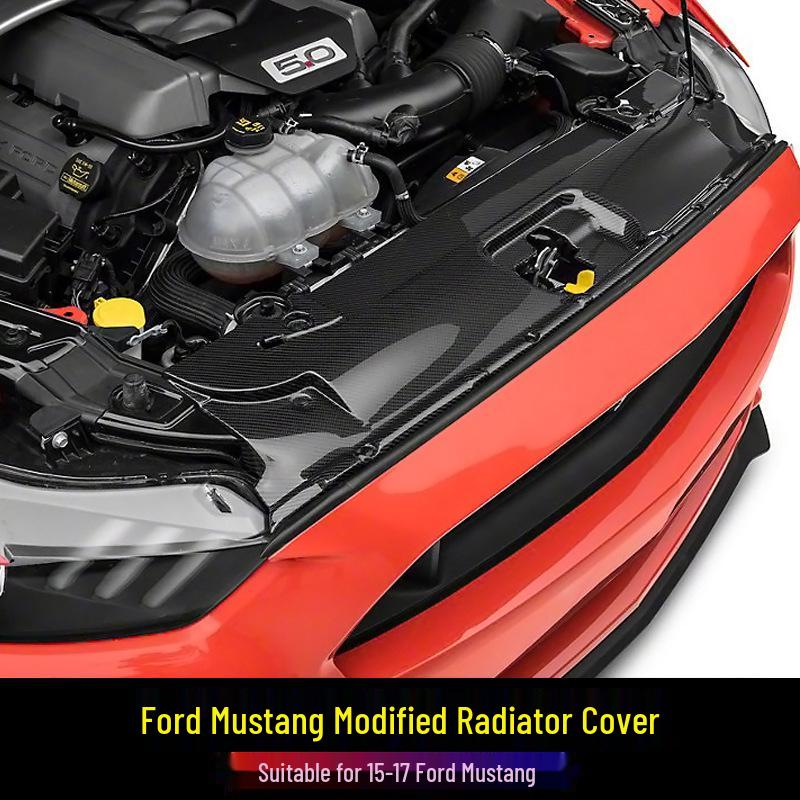 Carbon Fiber Radiator Cover & Hood Latch Guard for 15-17 Ford Mustang