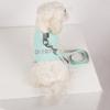 Doggyang Boutique Dog Harness Clothes Set Lead Leash Set Chest Leash Walking Supplies, Mint
