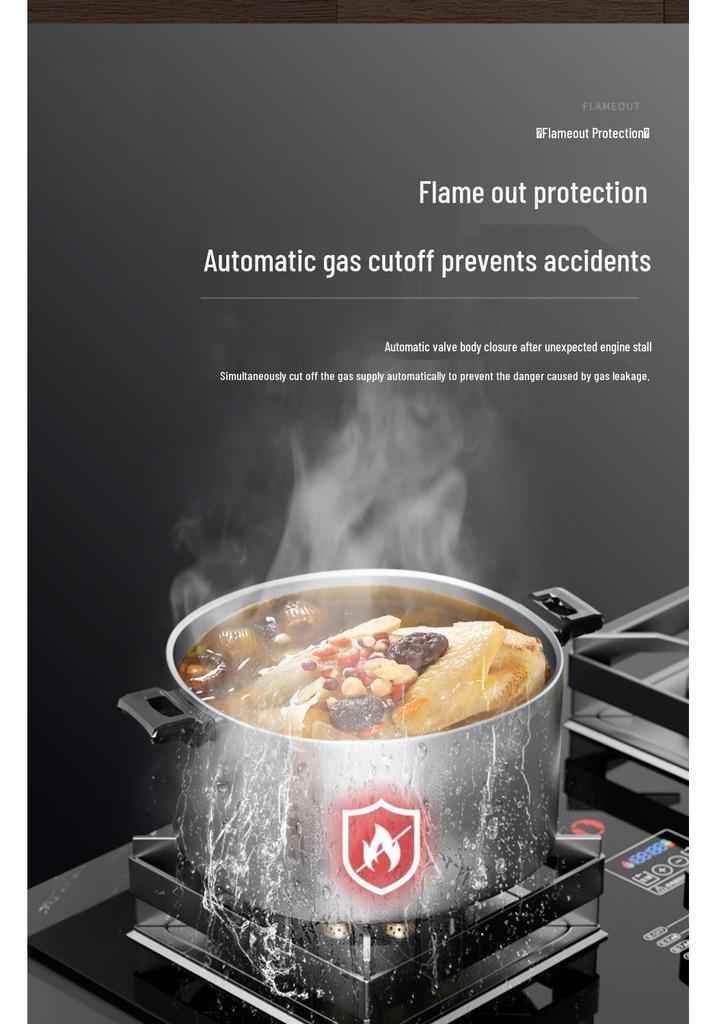 Good Wife Double Burner Gas Stove: Tabletop & Embedded, for Natural or Liquefied Petroleum Gas