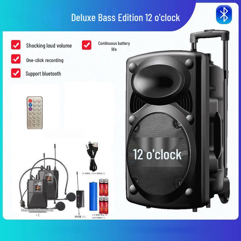 12-Inch Portable Bluetooth Speaker with High Volume for Outdoor Events and Karaoke