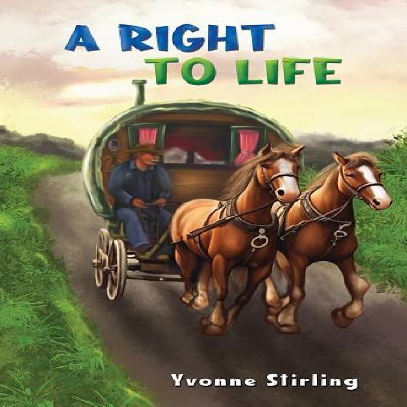 A Right To Life by Yvonne Stirling Paperback Book 9781035832798