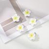 5PCS/set Hairpin Flower Festival Hair Clip Small Mini Cute Hair Accessories Girls Ponytail Styling Hair Clip Fashion Hairpin