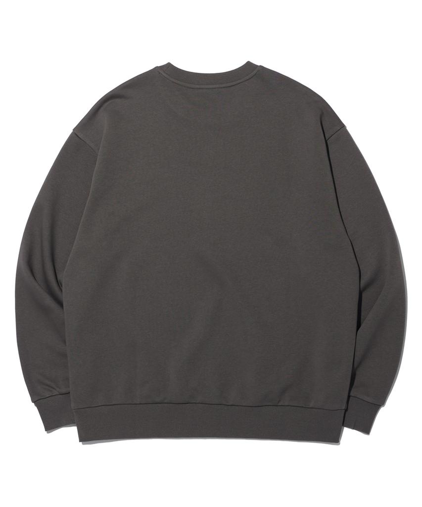 RAYFIKERS Signature Small Logo Sweatshirt Mq6Tu135_Charcoal