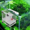 Aquarium Isolation Net Fish Breeding Breeder Box Fish Tank Incubator Breeding Box Incubator Box