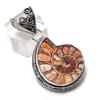 Ammonite Fossil Gemstone 925 Sterling Silver Jewelry Pendant 1.85"