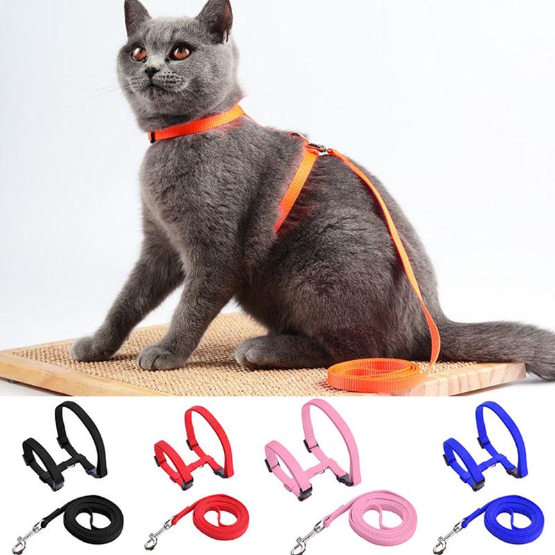 breakaway cat harness