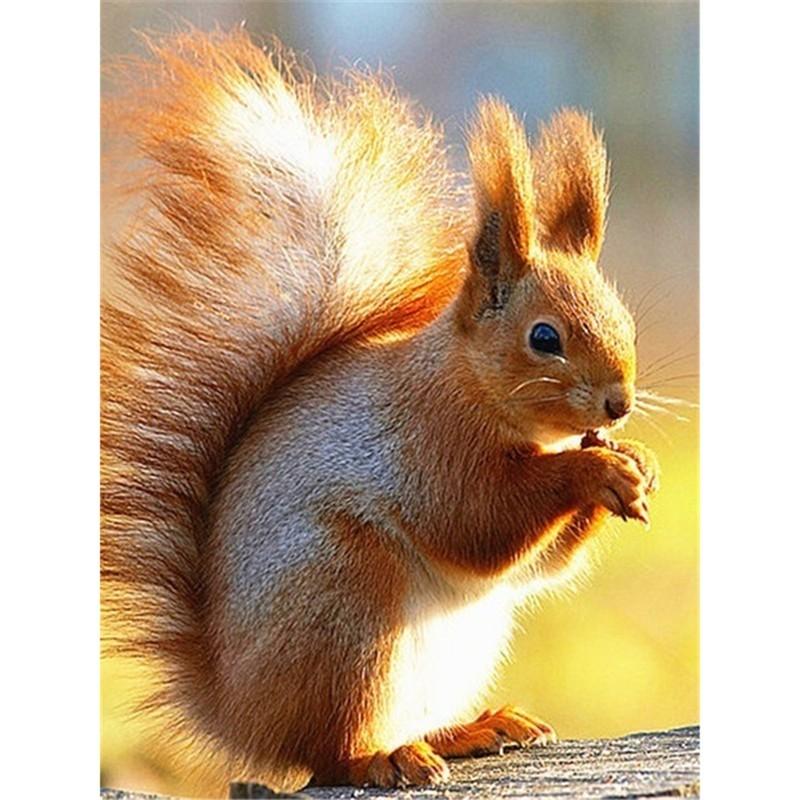 

Модный DIY Craft 5D Алмазная картина Полный домашний декор Подарок