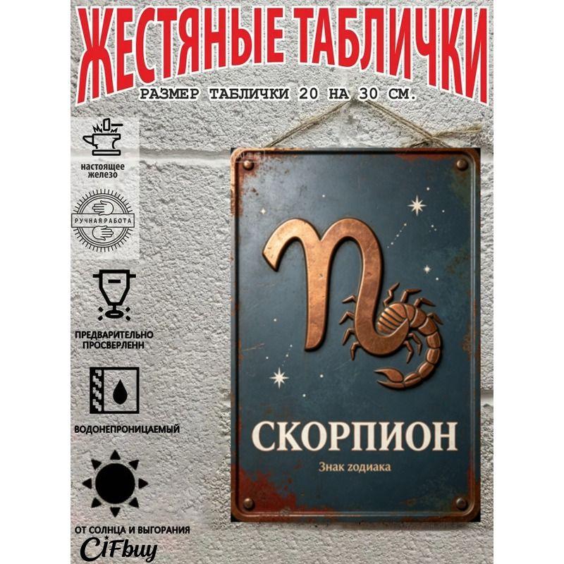 Vintage Metal Wall Poster Zodiac Sign, Living Room Decor, 20x30cm