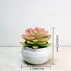 Simulated Succulents Artificial Succulents with Pots,plastic for Desktops, Offices and Decorations - Ideal for Decoration
