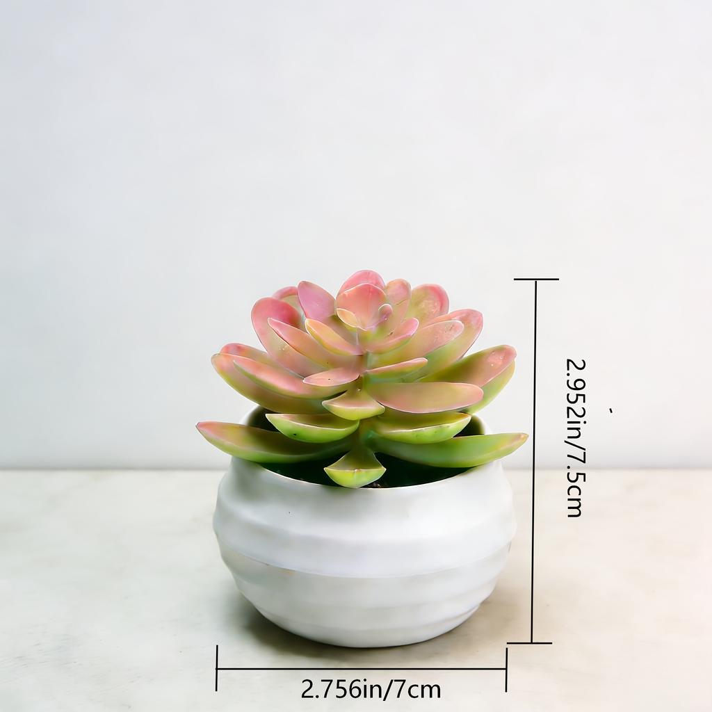 Simulated Succulents Artificial Succulents with Pots,plastic for Desktops, Offices and Decorations - Ideal for Decoration