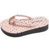 Popular Internet Celebrity High-end Thick-soled Flip-flops Women's Summer Wear 2025 New Skirt French Cool Slippers